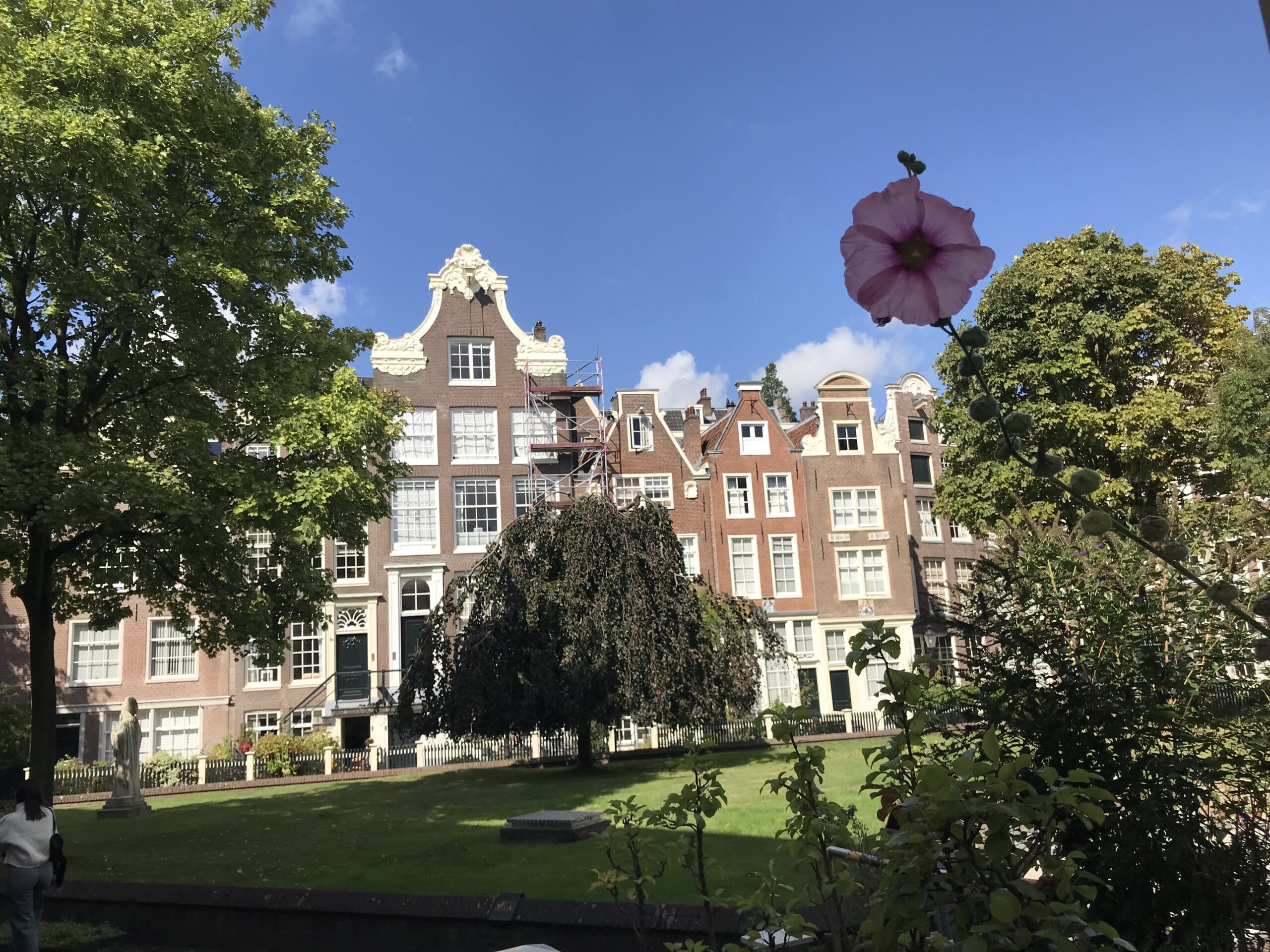 Hidden Courtyards A Walker In The Suburbs